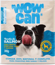 WOWCAN SALMON CONGELADO